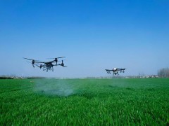 第九届农博会来啦！天府农博园有哪些亮点？带你先逛为“鲜